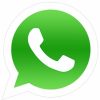 whatsapp-logo-300x295